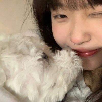 侠侣无双游戏